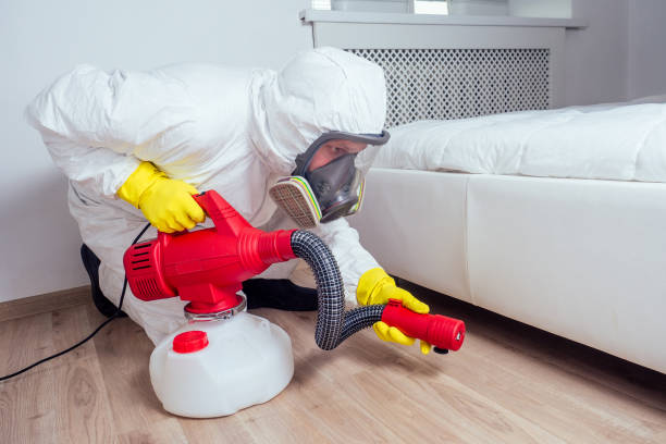 Best Termite Control Services  in Aberdeen, IN