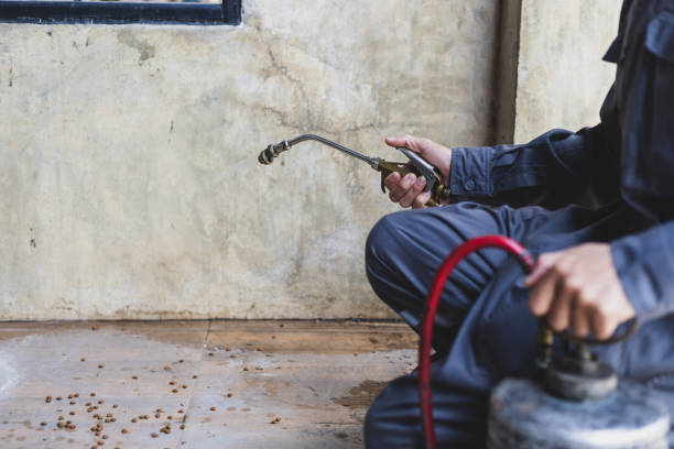 Best Exterminator Services  in Aberdeen, IN